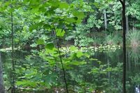 Land for sale in Kershaw County, South Carolina