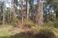 Land for sale in Volusia County, Florida
