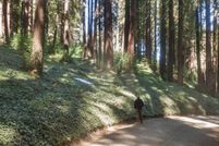 Land for sale in San Mateo County, California