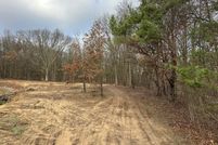 Undeveloped Land for sale in Allegan County, Michigan