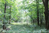 Land for sale in Randolph County, West Virginia