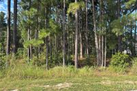 Land for sale in Chatham County, Georgia