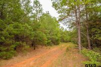 Undeveloped Land for sale in Smith County, Texas