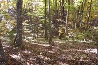 Undeveloped Land for sale in Cumberland County, Tennessee