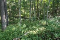 Land for sale in Wayne County, Indiana