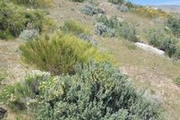 Land for sale in Washoe County, Nevada