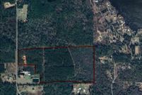 Land for sale in Beauregard Parish, Louisiana