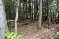 Land for sale in York County, Maine