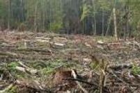 Farm and Ranch for sale in Warren County, New York