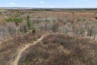 Undeveloped Land for sale in Wexford County, Michigan