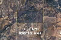 Land for sale in Coke County, Texas