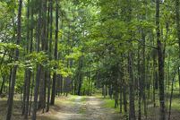 Timberland Property for sale in Talladega County, Alabama