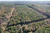 Land for sale in Angelina County, Texas