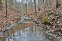 Undeveloped Land for sale in Cheatham County, Tennessee