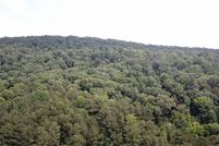 Land for sale in Jefferson County, Alabama