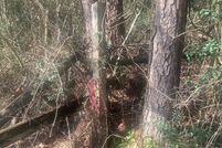 Land for sale in Hardin County, Texas