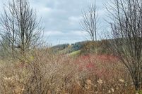 Timberland Property for sale in Allegany County, New York