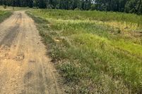 Land for sale in San Augustine County, Texas