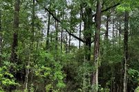 Land for sale in San Augustine County, Texas