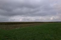 Undeveloped Land for sale in Warrick County, Indiana