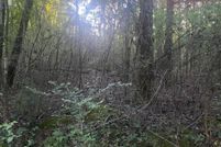 Land for sale in Walker County, Alabama