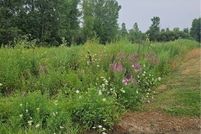 Land for sale in Erie County, New York