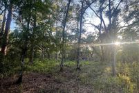 Land for sale in Hernando County, Florida