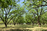 Land for sale in McLennan County, Texas