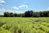 Land for sale in Kaufman County, Texas