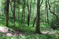 Homesite for sale in Clay County, North Carolina