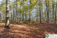 Undeveloped Land for sale in Wayne County, Pennsylvania