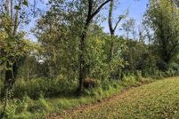 Land for sale in Surry County, North Carolina