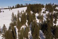 Undeveloped Land for sale in Adams County, Idaho