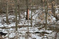 Recreational Property for sale in Owen County, Indiana