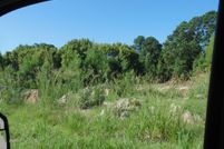 Land for sale in Bertie County, North Carolina