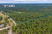 Undeveloped Land for sale in Okaloosa County, Florida