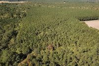 Land for sale in Suffolk City County, Virginia