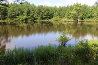 Land for sale in Webster Parish, Louisiana