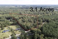 Undeveloped Land for sale in Williamsburg County, South Carolina