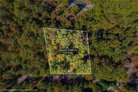 Undeveloped Land for sale in Gilmer County, Georgia
