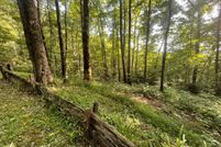 Land for sale in Jackson County, North Carolina