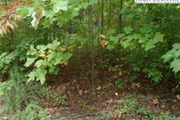 Land for sale in McDowell County, North Carolina