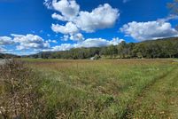 Undeveloped Land for sale in Lee County, Virginia