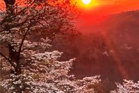 Land for sale in Barry County, Missouri