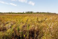 Undeveloped Land for sale in Mille Lacs County, Minnesota