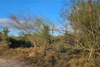 Undeveloped Land for sale in Jim Wells County, Texas