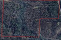 Land for sale in Marion County, Alabama