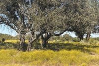 Land for sale in Comanche County, Texas