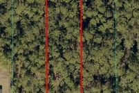 Undeveloped Land for sale in Marion County, Florida