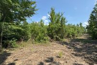 Undeveloped Land for sale in Shelby County, Texas